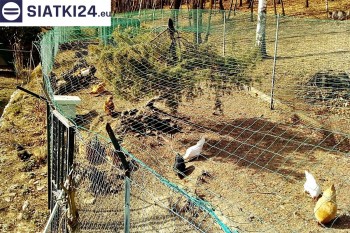 Siatki Ozorków - Siatka na woliery - zabezpieczenia ptaków w hodowli dla terenów Ozorkowa